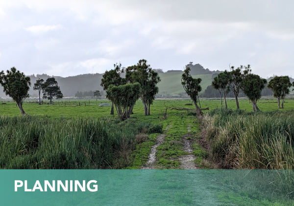 Lodestone Energy Dargaville Solar Farm Site pre construction