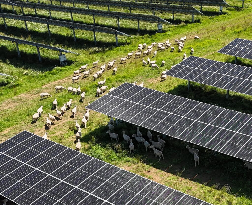 Lodestone Energy Kohirā Solar Farm - Kaitaia