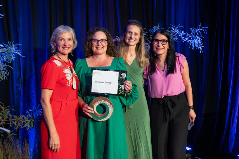 Lodestone wins Sustainable Business Award 2024 for Distruptve Innovation