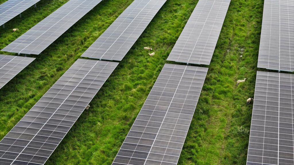 Lodestone Energy Kohira Solar Farm with Sheep Grazing - aerial view - Header image