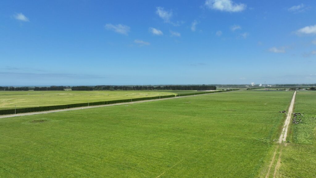 Lodestone Energy - Clandeboye Solar Farm site