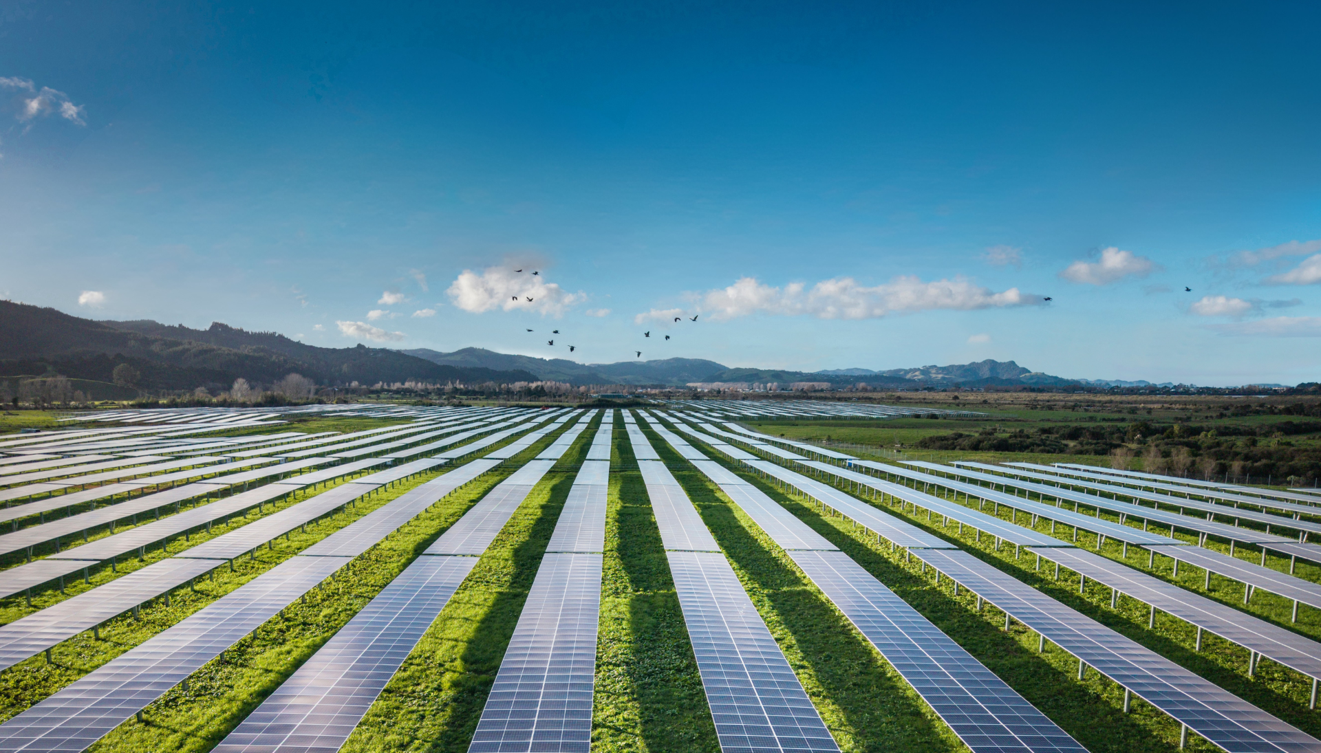Lodestone Energy Whitianga Solar Farm, Pāmu Rā ki Whitianga at sunrise