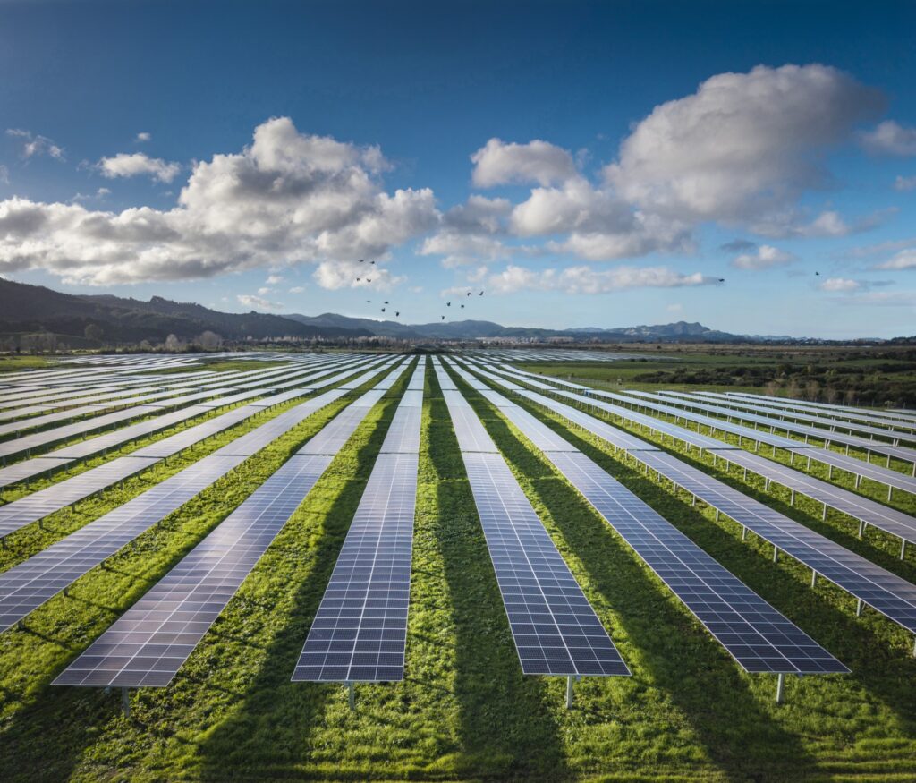 Lodestone welcomes Hall’s Group to its growing list of solar partnerships